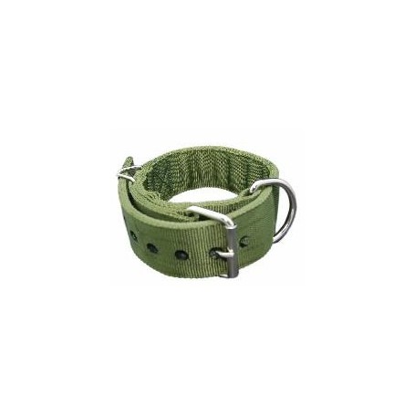 Collar de doble reforzado en nylon verde (5x80cm)