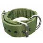Collar de doble reforzado en nylon verde (5x80cm)