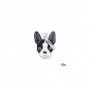 Placa identificativa para Boston Terrier