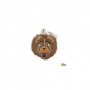 Placa identificativa para Chow Chow