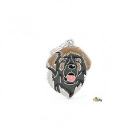 Placa identificativa para Leonberger